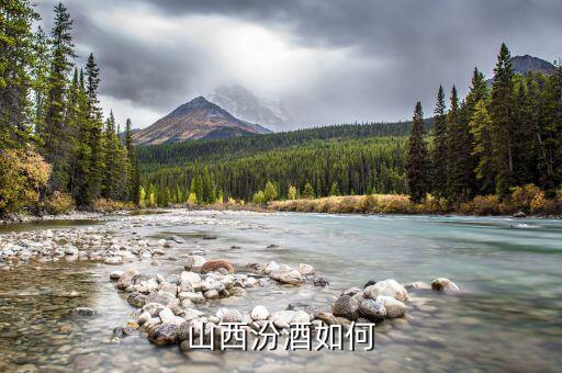 山西汾酒股票怎么樣,山西汾酒和茅臺(tái)