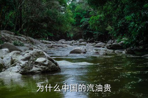 中國(guó)汽油為什么比美國(guó)貴,美國(guó)的汽油便宜嗎