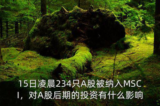 15日凌晨234只A股被納入MSCI，對A股后期的投資有什么影響