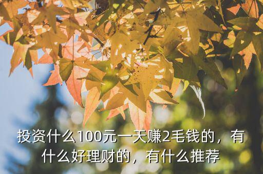 投資什么100元一天賺2毛錢的，有什么好理財?shù)模惺裁赐扑]