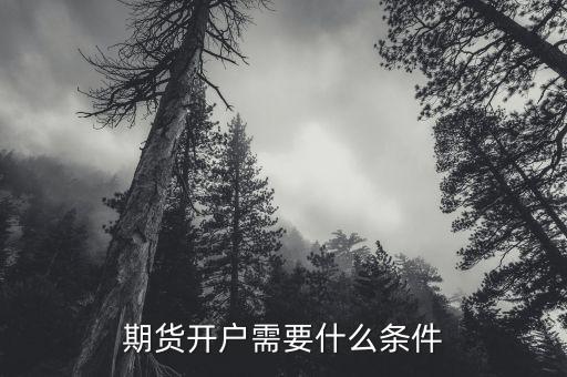 期貨開(kāi)戶需要注意什么,期貨開(kāi)戶需要什么條件