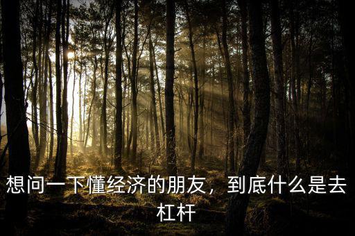 想問一下懂經(jīng)濟(jì)的朋友，到底什么是去杠桿