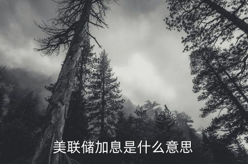 美聯(lián)儲(chǔ)加息是什么意思