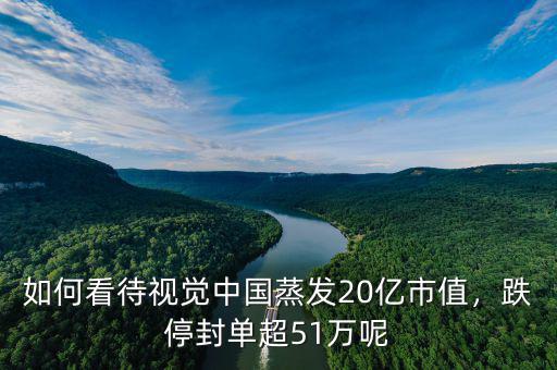 如何看待視覺(jué)中國(guó)蒸發(fā)20億市值，跌停封單超51萬(wàn)呢