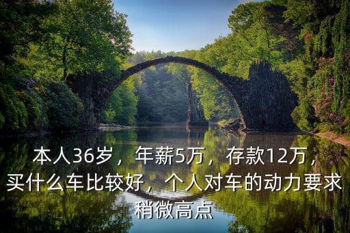 本人36歲，年薪5萬，存款12萬，買什么車比較好，個人對車的動力要求稍微高點