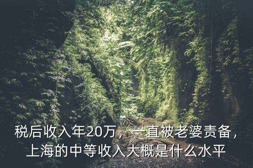 稅后收入年20萬，一直被老婆責(zé)備，上海的中等收入大概是什么水平