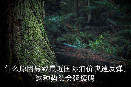 什么原因?qū)е伦罱鼑H油價快速反彈，這種勢頭會延續(xù)嗎