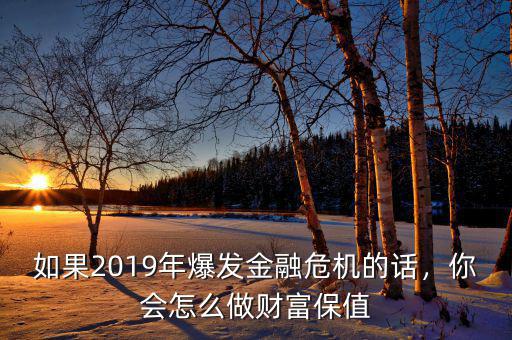 如果2019年爆發(fā)金融危機(jī)的話，你會(huì)怎么做財(cái)富保值