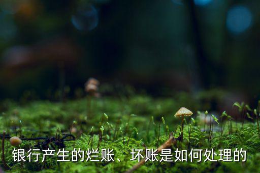 銀行產(chǎn)生的爛賬、壞賬是如何處理的