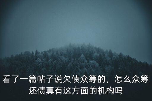 看了一篇帖子說(shuō)欠債眾籌的，怎么眾籌還債真有這方面的機(jī)構(gòu)嗎