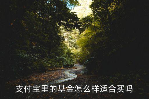 支付寶買(mǎi)基金怎么樣,支付寶買(mǎi)基金有何不同