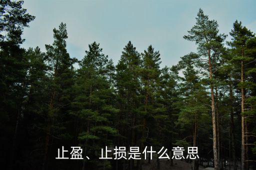 止盈、止損是什么意思