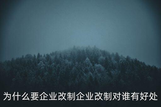 為什么要企業(yè)改制企業(yè)改制對誰有好處