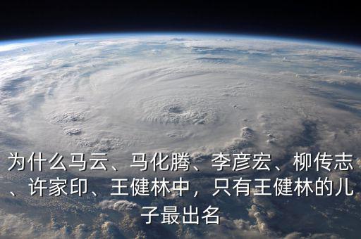 為什么馬云、馬化騰、李彥宏、柳傳志、許家印、王健林中，只有王健林的兒子最出名