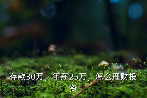 存款30萬，年薪25萬，怎么理財投資