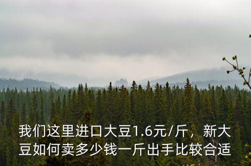 我們這里進(jìn)口大豆1.6元/斤，新大豆如何賣多少錢一斤出手比較合適