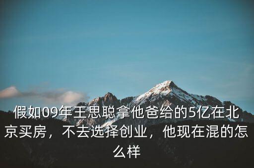 假如09年王思聰拿他爸給的5億在北京買房，不去選擇創(chuàng)業(yè)，他現(xiàn)在混的怎么樣