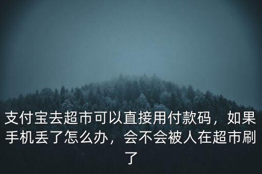 手機被偷被拿去掃碼消費怎么辦,手機被人偷了