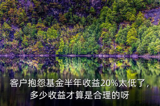 客戶抱怨基金半年收益20%太低了，多少收益才算是合理的呀