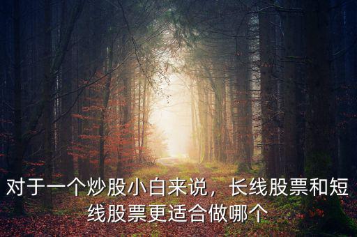 對(duì)于一個(gè)炒股小白來說，長(zhǎng)線股票和短線股票更適合做哪個(gè)