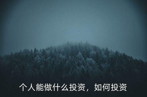 可以投資什么,今年有什么項目可以投資的