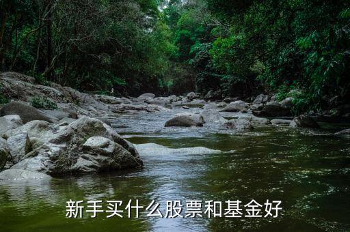 新手買(mǎi)什么股票和基金好