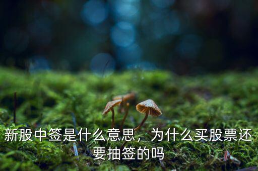 新股中簽是什么意思，為什么買(mǎi)股票還要抽簽的嗎