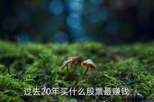 2016什么股票最熱門(mén),過(guò)去20年買(mǎi)什么股票最賺錢(qián)