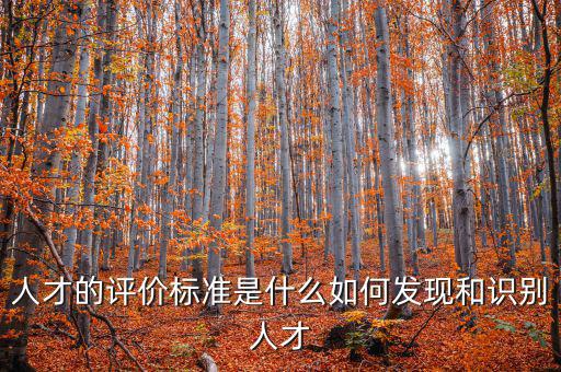 人才的評(píng)價(jià)標(biāo)準(zhǔn)是什么如何發(fā)現(xiàn)和識(shí)別人才