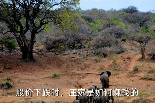 股市下跌怎么賺錢,股市下跌為什么有人能掙錢