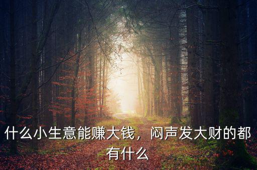 什么小生意能賺大錢，悶聲發(fā)大財?shù)亩加惺裁? class=