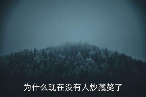 藏獒為什么沒人要了,藏獒的價格低了