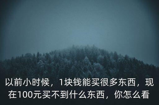 以前小時候，1塊錢能買很多東西，現(xiàn)在100元買不到什么東西，你怎么看