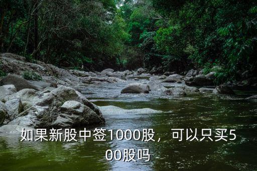 500股新股能賺多少,如果新股中簽1000股