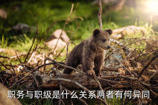 俞靈雨現(xiàn)在什么職務,一級主任科員相當什么職務