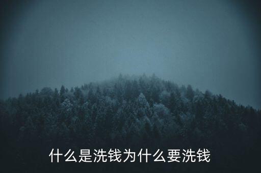 什么是洗錢(qián)為什么要洗錢(qián)