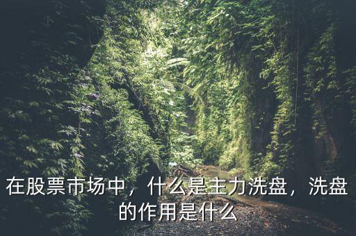 在股票市場(chǎng)中，什么是主力洗盤，洗盤的作用是什么