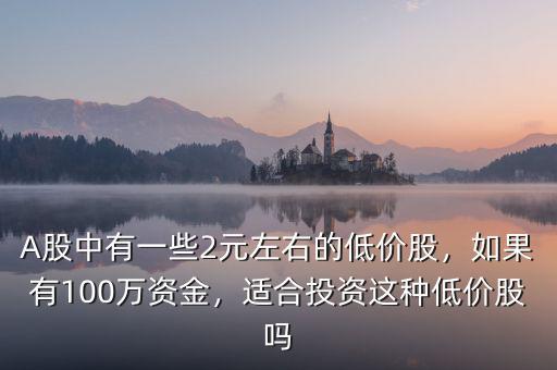 A股中有一些2元左右的低價股，如果有100萬資金，適合投資這種低價股嗎