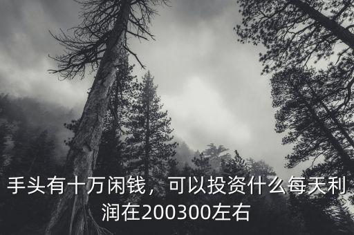 手頭有十萬(wàn)閑錢，可以投資什么每天利潤(rùn)在200300左右