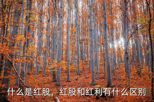 什么是紅股，紅股和紅利有什么區(qū)別