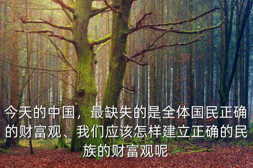 今天的中國，最缺失的是全體國民正確的財富觀、我們應該怎樣建立正確的民族的財富觀呢