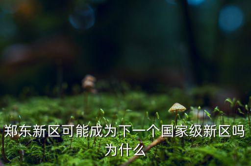 鄭東新區(qū)可能成為下一個(gè)國(guó)家級(jí)新區(qū)嗎為什么