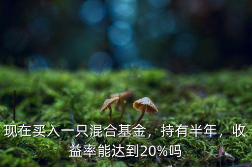 現(xiàn)在買(mǎi)入一只混合基金，持有半年，收益率能達(dá)到20%嗎