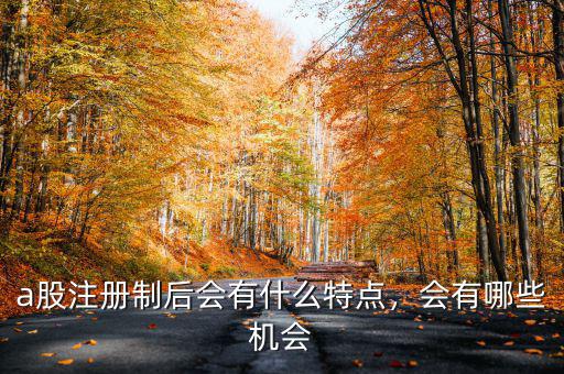 a股注冊(cè)制后會(huì)有什么特點(diǎn)，會(huì)有哪些機(jī)會(huì)