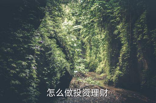 較好的理財(cái)投資怎么做,怎么做投資理財(cái)