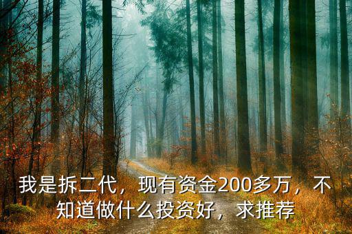 我是拆二代，現(xiàn)有資金200多萬，不知道做什么投資好，求推薦