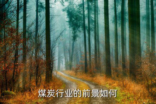 煤炭行業(yè)屬于什么密集型,煤炭行業(yè)的前景如何