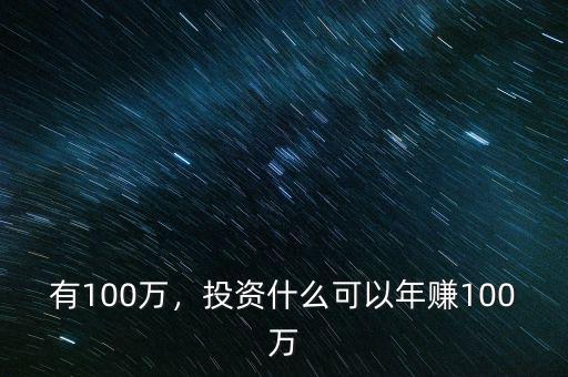 有100萬，投資什么可以年賺100萬