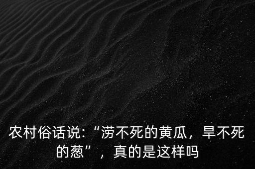 農(nóng)村俗話說:“澇不死的黃瓜，旱不死的蔥”，真的是這樣嗎