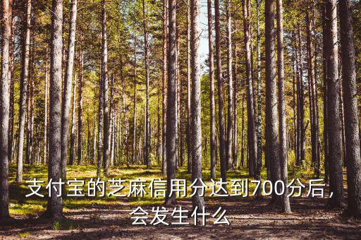 支付寶的芝麻信用分達(dá)到700分后，會發(fā)生什么